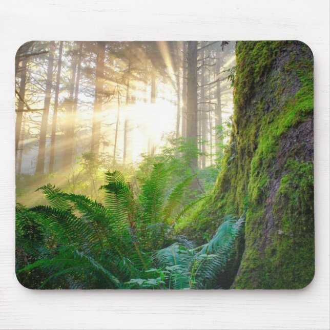 Pacific Coast Forest, Oregon Mouse Pad (Front)
