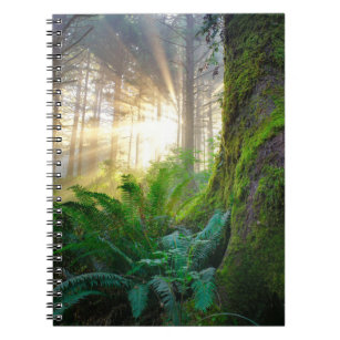 Pacific Coast Forest, Oregon Notebook