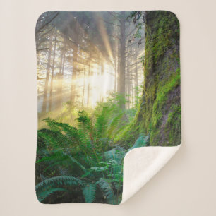 Pacific Coast Forest, Oregon Sherpa Blanket