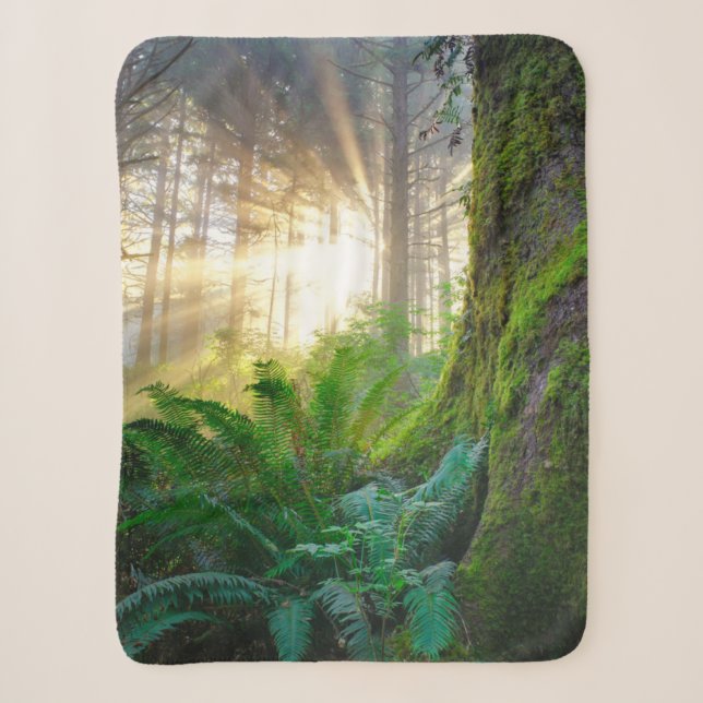 Pacific Coast Forest, Oregon Sherpa Blanket (Front)