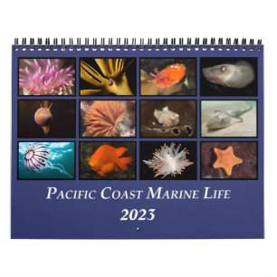 Pacific Coast Marine Life Calendar
