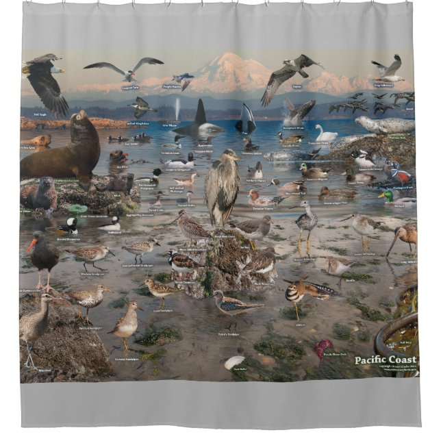 Pacific Coast Shower Curtain (Front)