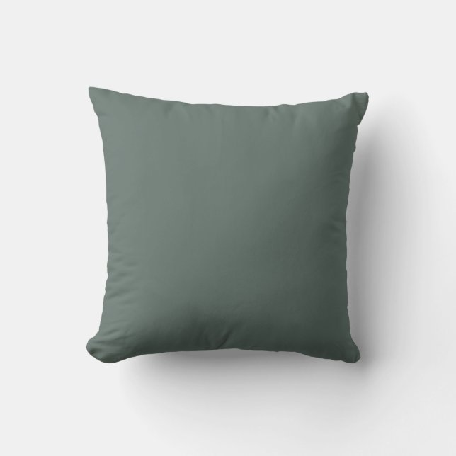 Pacific Dark Green-Blue Grey Solid Colour SW 6215 Throw Pillow (Front)