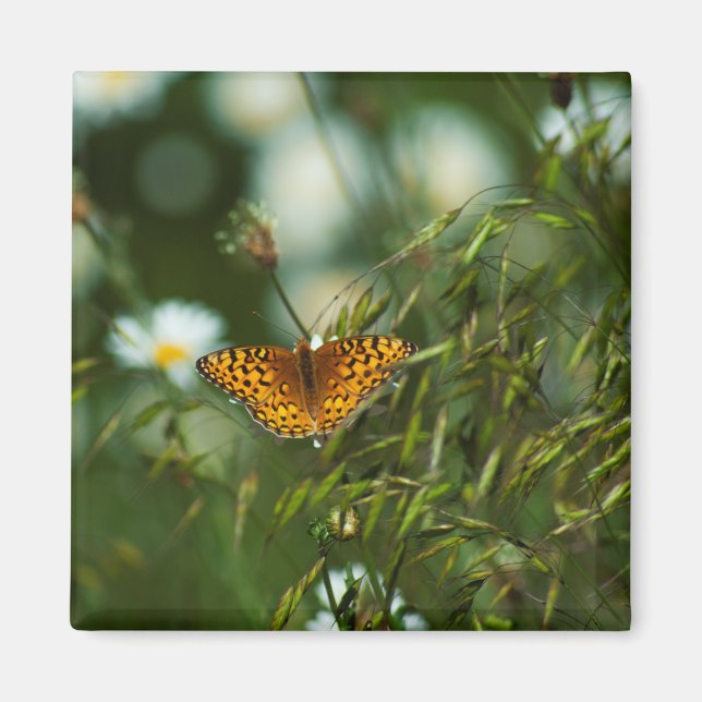 Pacific Fritillary Butterfly Magnet (Front)