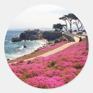 Pacific Grove-Monterey Calif Classic Round Sticker