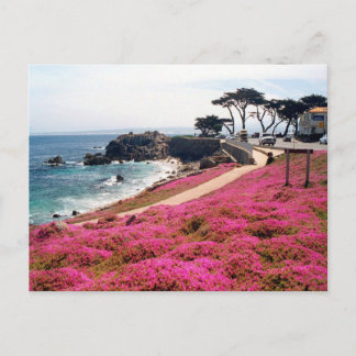 Pacific Grove-Monterey Calif Postcard