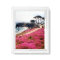 Pacific Grove-Monterey Calif