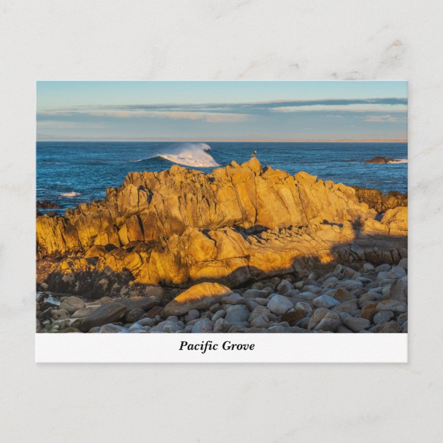 Pacific Grove Postcard (Front)