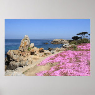 Pacific Grove Poster