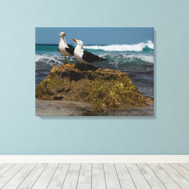 Pacific Gull Bird Beach Ocean Landscape Australia Canvas Print (Insitu(Wood Floor))