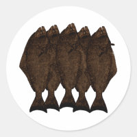 Pacific Halibut