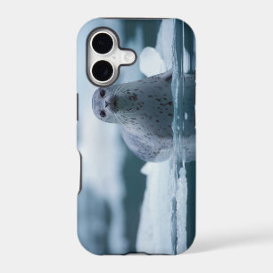 pacific harbour seal, Phoca vitulina richardsi