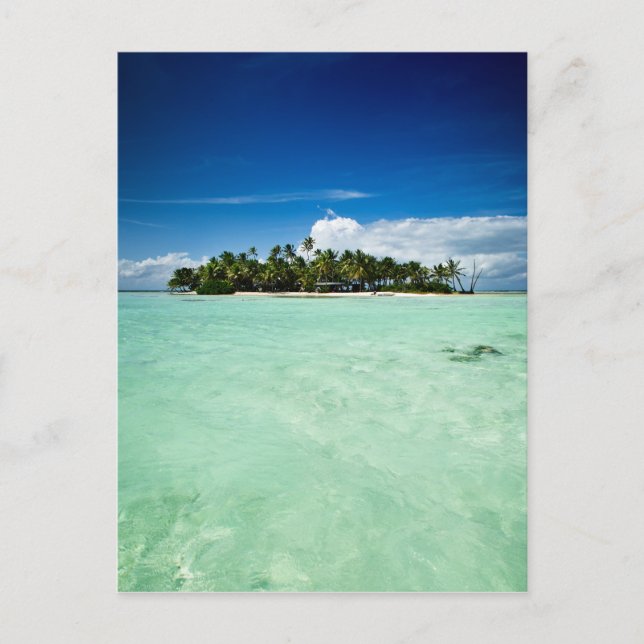Pacific island with palm trees portrait postcard (Front)