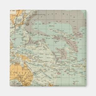 Pacific Magnet