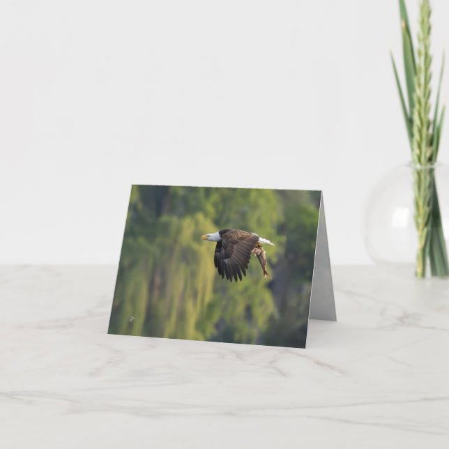 Pacific Northwest Bald Eagle with Salmon Blank Holiday Card (Front)