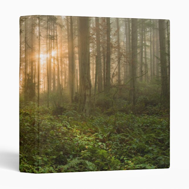 Pacific Northwest Forest | Foggy Morning Binder (Front/Spine)