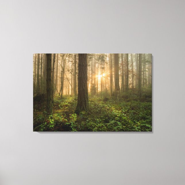 Pacific Northwest Forest | Foggy Morning Canvas Print (Front)