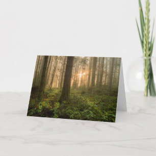Pacific Northwest Forest   Foggy Morning Card