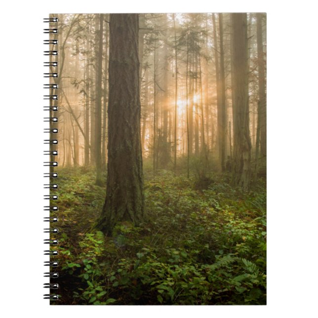 Pacific Northwest Forest | Foggy Morning Notebook (Front)