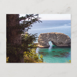 Pacific Northwest Landscape Postcard