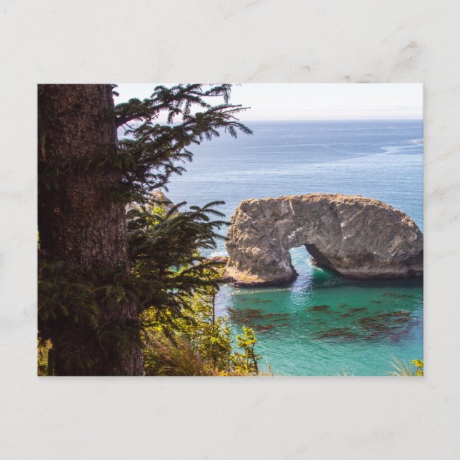 Pacific Northwest Landscape Postcard (Front)