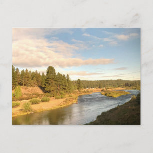 Pacific Northwest River Landscape Postcard
