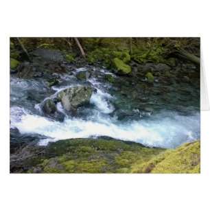 Pacific Northwest Rushing Water