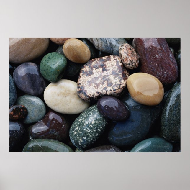 Pacific Northwest USA, Colorful river rocks Poster (Front)
