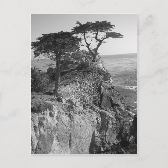 Pacific Ocean Postcard (Front)