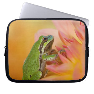 Pacific tree frog on flowers in our garden, 2 laptop sleeve