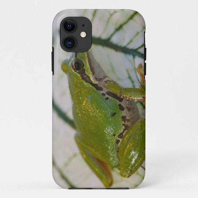 Pacific tree frog on flowers in our garden, Case-Mate iPhone case (Back)
