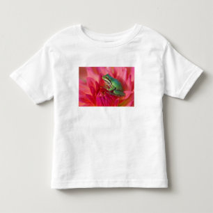 Pacific tree frog on flowers in our garden toddler t-shirt