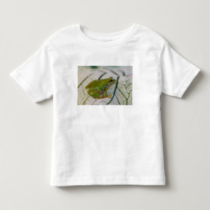 Pacific tree frog on flowers in our garden, toddler t-shirt