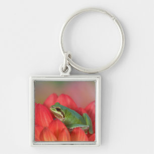 Pacific tree frog on flowers in the garden keychain