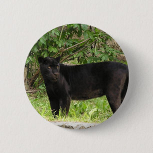 Pacing Panther Pin