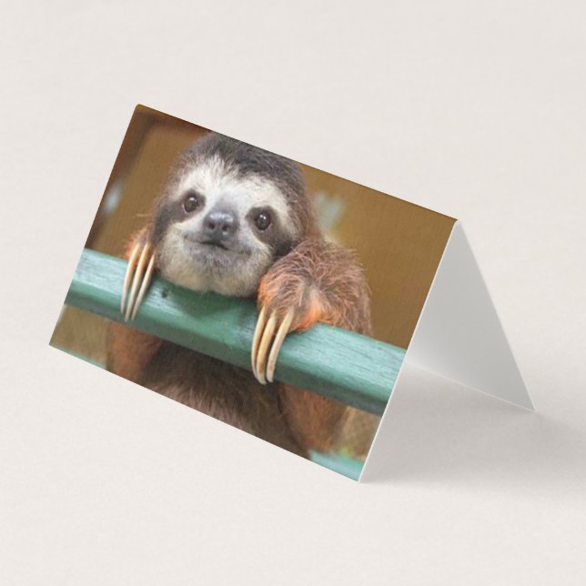Pack 25 Sloth blank cards, any occasion (Front)
