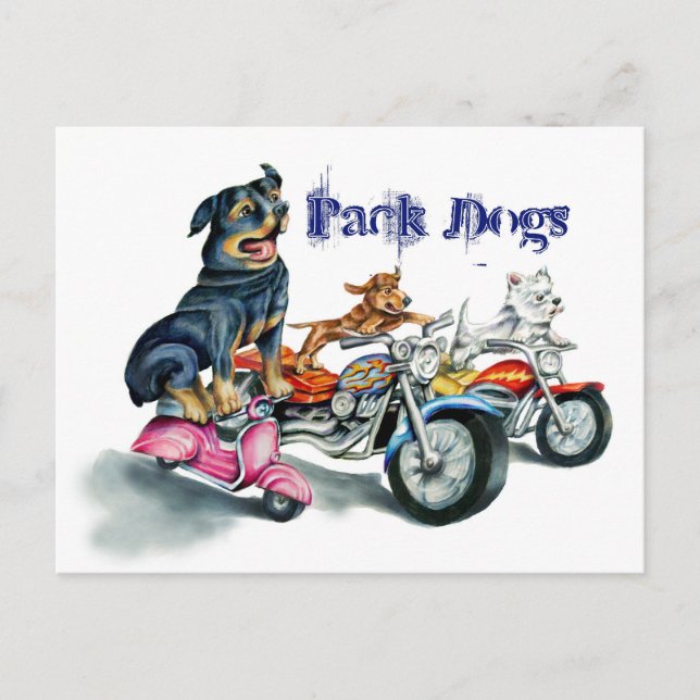 Pack Dogs Postcard (Front)