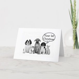 PACK OF DOGS "MERRY 1st CHRISTMAS to CHILD" Holiday Card