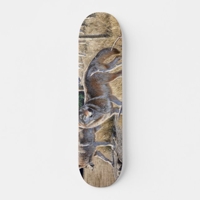 Pack of wolves in the forest painting skateboard (Front)