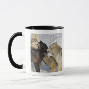 Pack of wolves interacting mug