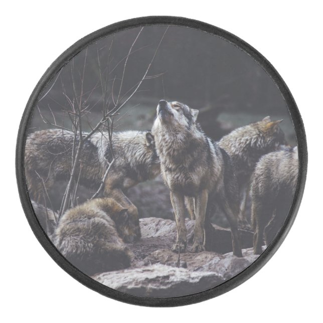 Pack Wolf (Devant)
