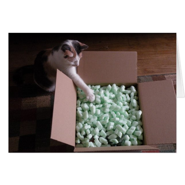 Packed with card - cat (Front Horizontal)