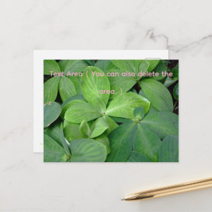 Packed with greenery postcard