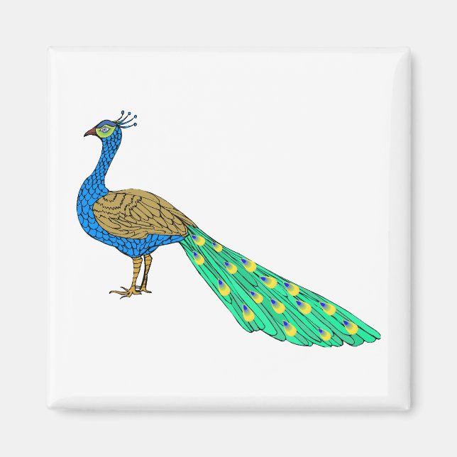 Packer Peacock Magnet (Front)