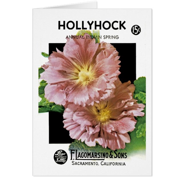 Packet Vintage de semences Hollyhock (Devant)