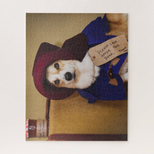 Paddington Corgi Jigsaw Puzzle- 500 Puzzle