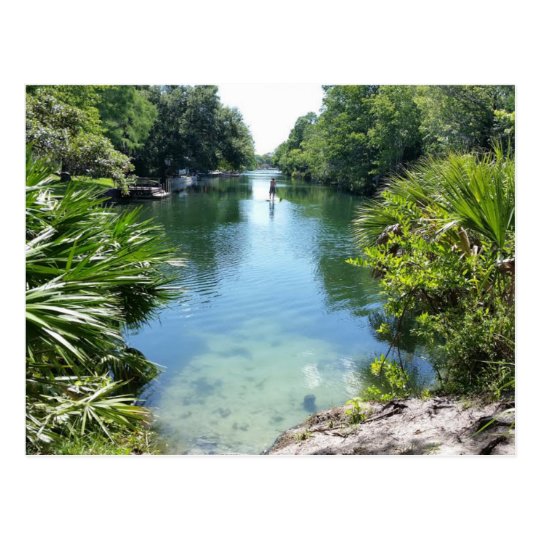 Paddle boarding on Crystal River Postcard