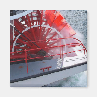 Paddle Wheel Magnet