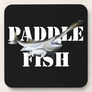 Paddlefish Coaster