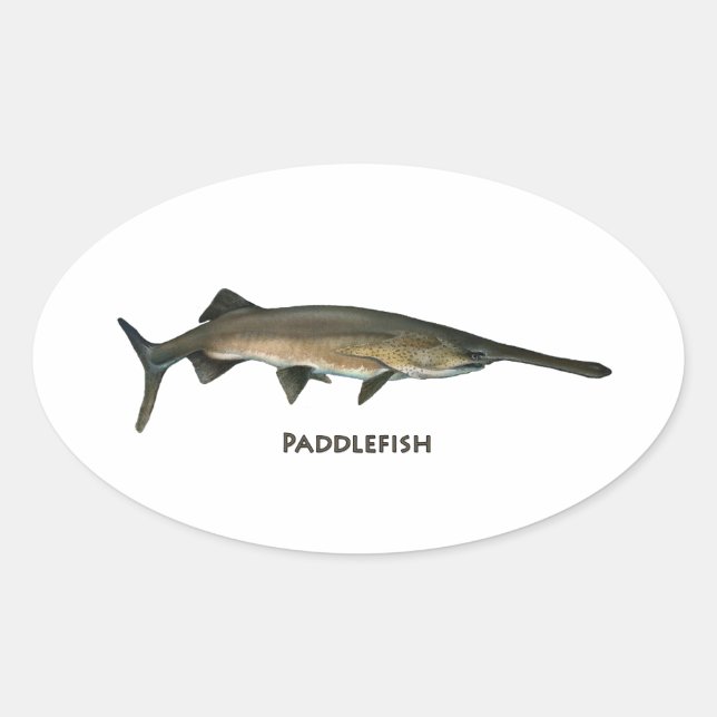 Paddlefish Oval Sticker (Front)